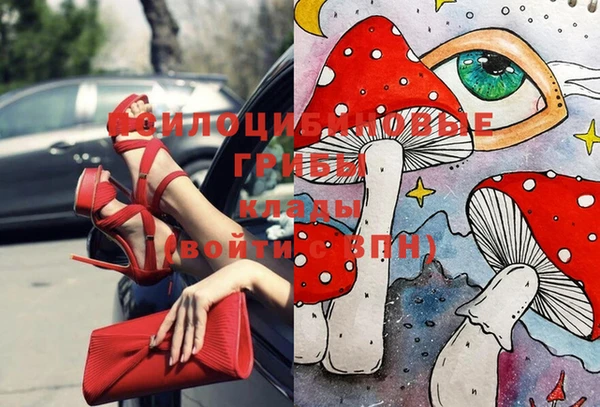 прущая мука Аркадак